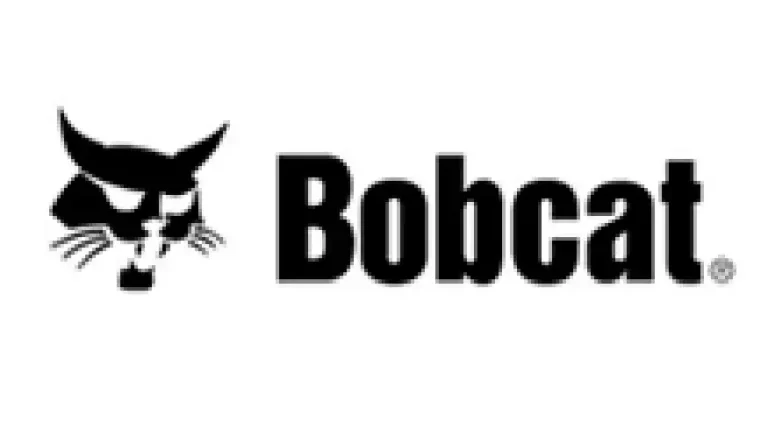 bobcat